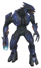 Sangheili Minor - Halopedia, The Halo Encyclopedia