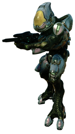 Sangheili Ranger - Halopedia, the Halo encyclopedia