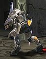 Sangheili High Councilor - Halopedia, the Halo wiki