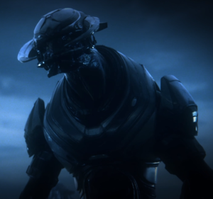 Executioner - Character - Halopedia, the Halo wiki