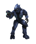 Sangheili Minor - Halopedia, the Halo encyclopedia