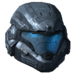 Armor permutations (Halo: Reach) - Halopedia, the Halo wiki