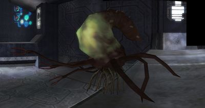 Pod infector - Halopedia, the Halo wiki