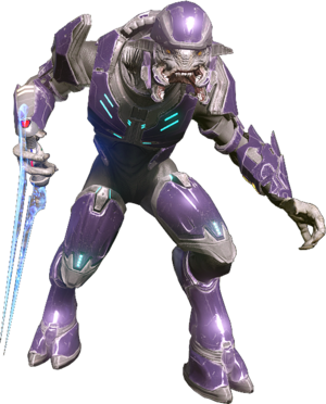 Special Operations Sangheili - Halopedia, the Halo wiki